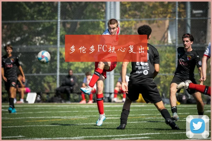 多伦多FC核心复出