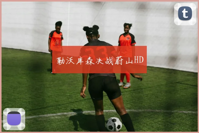 勒沃库森决战蔚山HD
